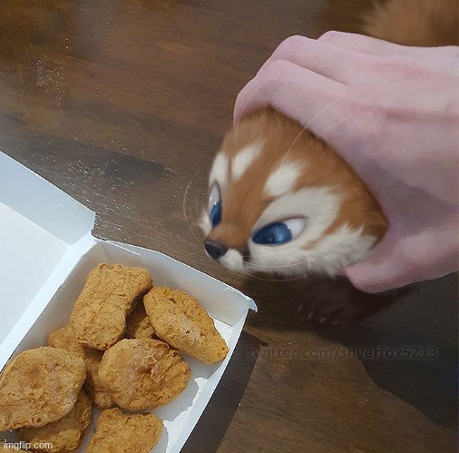 GIMME DEM NUGGS (Art by Silverfox5213) | image tagged in fox,furry,chicken nuggets,cute,uwu | made w/ Imgflip meme maker