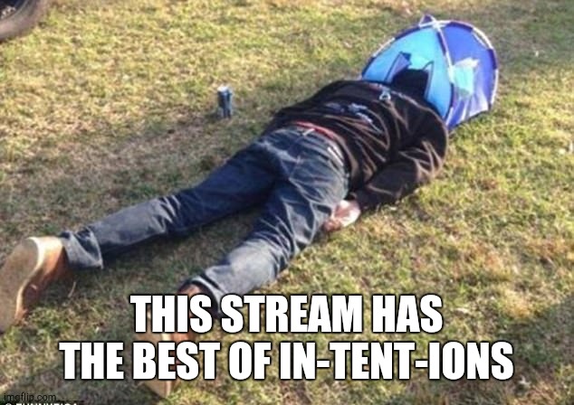 This stream  wooo | THIS STREAM HAS THE BEST OF IN-TENT-IONS | image tagged in tents | made w/ Imgflip meme maker