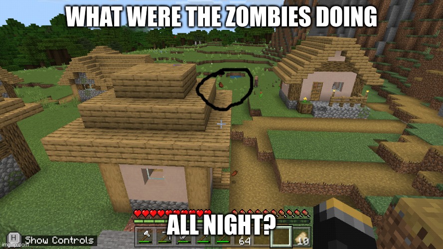 Zombies were up all night doing crap | WHAT WERE THE ZOMBIES DOING; ALL NIGHT? | image tagged in zombies,minecraft | made w/ Imgflip meme maker