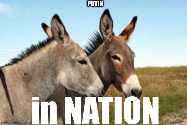 Time for a...? | PUTIN; in NATION | image tagged in watch out putin,two donkeys | made w/ Imgflip meme maker