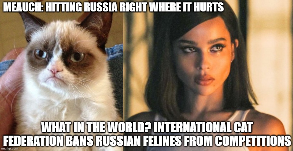 Whose the real commies? | MEAUCH: HITTING RUSSIA RIGHT WHERE IT HURTS; WHAT IN THE WORLD? INTERNATIONAL CAT FEDERATION BANS RUSSIAN FELINES FROM COMPETITIONS | image tagged in memes,grumpy cat,soviet russia,globalist,sounds like communist propaganda,the most interesting cat in the world | made w/ Imgflip meme maker