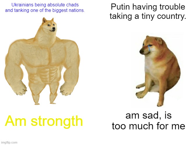 Buff Doge vs. Cheems | Ukrainians being absolute chads and tanking one of the biggest nations. Putin having trouble taking a tiny country. Am strongth; am sad, is too much for me | image tagged in memes,buff doge vs cheems | made w/ Imgflip meme maker