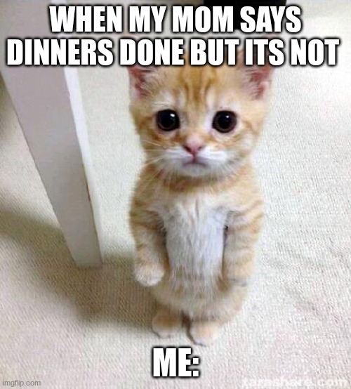 Cute Cat | WHEN MY MOM SAYS DINNERS DONE BUT ITS NOT; ME: | image tagged in memes,cute cat | made w/ Imgflip meme maker