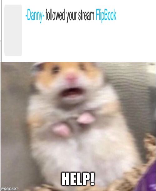 Scared Hamster | HELP! | image tagged in scared hamster | made w/ Imgflip meme maker