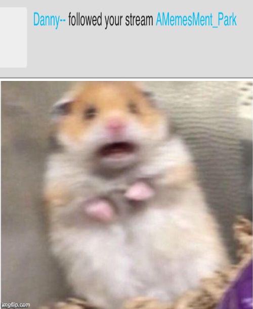 AGAIN!? | image tagged in scared hamster | made w/ Imgflip meme maker