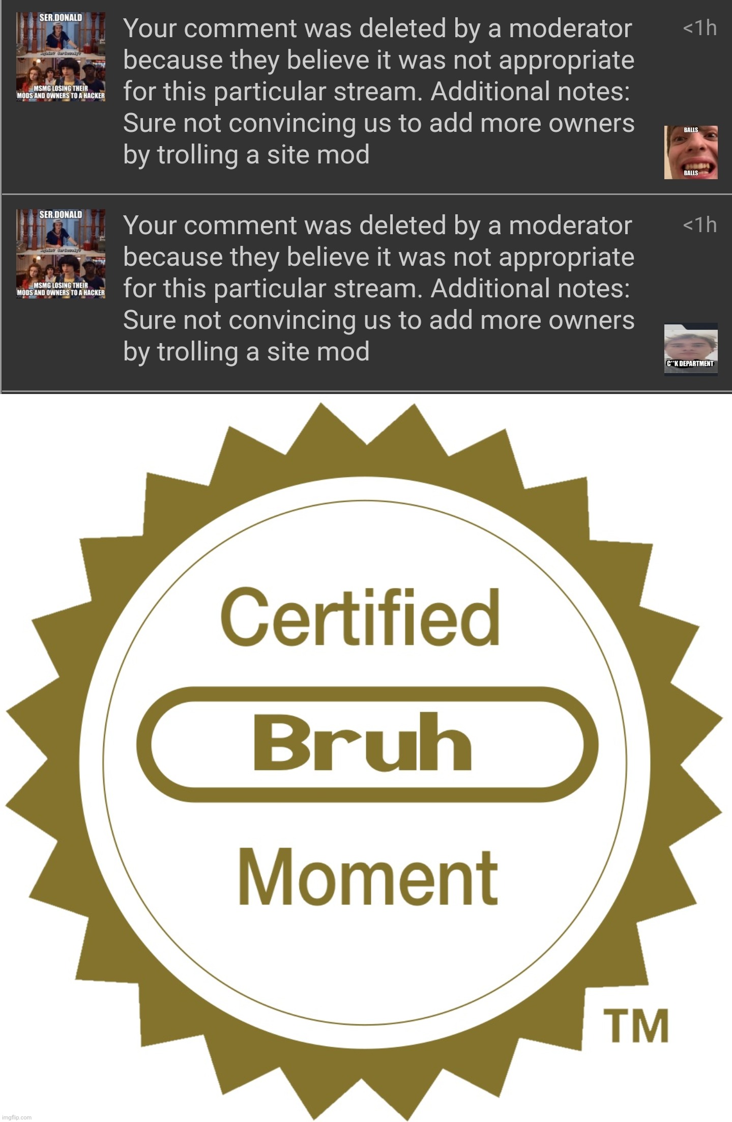 Goddаmn site mods... | image tagged in certified bruh moment,site mods,deleted comments,imgflip,memes | made w/ Imgflip meme maker