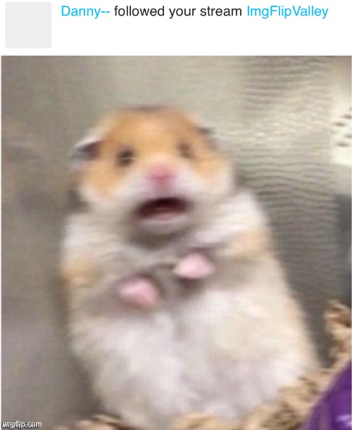 Please help | image tagged in scared hamster | made w/ Imgflip meme maker