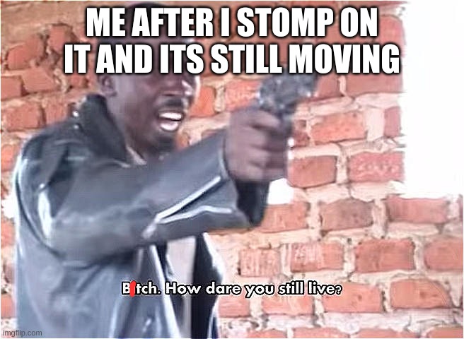 Bitch. How dare you still live | ME AFTER I STOMP ON IT AND ITS STILL MOVING | image tagged in bitch how dare you still live | made w/ Imgflip meme maker