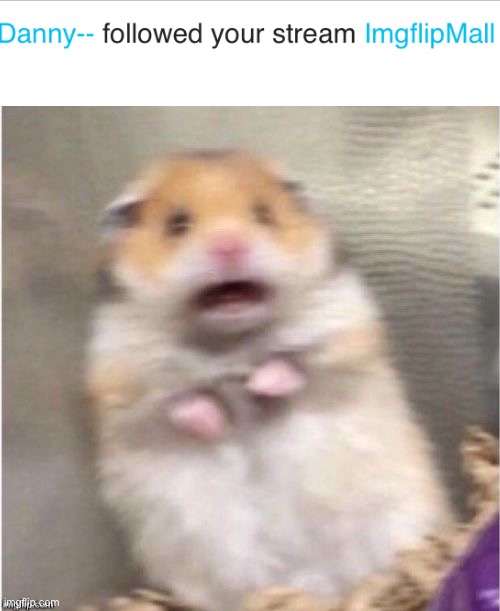 AHHHHH | image tagged in scared hamster | made w/ Imgflip meme maker