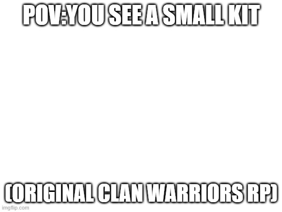 WARRIORS RP | POV:YOU SEE A SMALL KIT; (ORIGINAL CLAN WARRIORS RP) | image tagged in blank white template | made w/ Imgflip meme maker