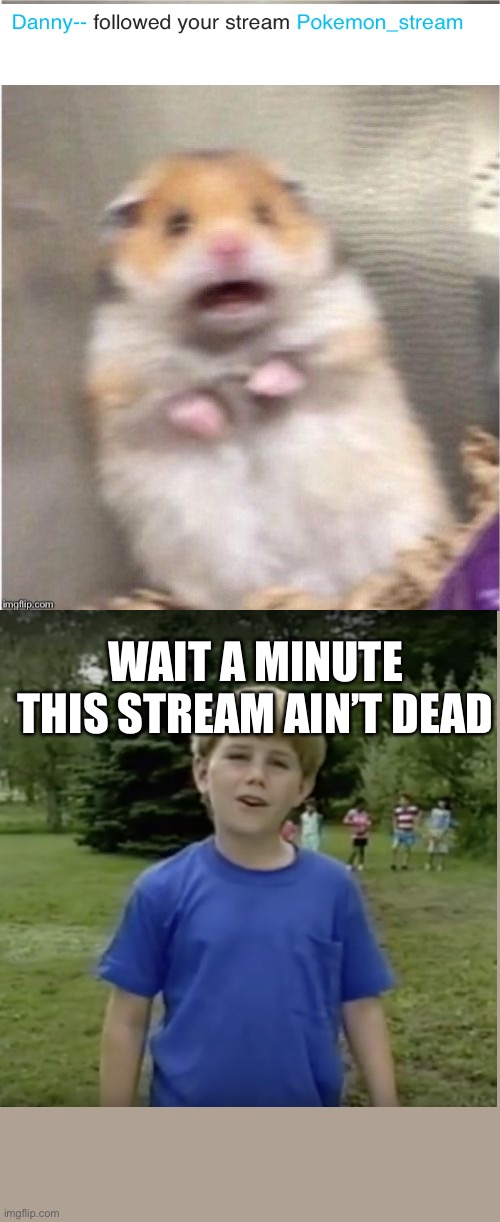 Scared Hamster | WAIT A MINUTE THIS STREAM AIN’T DEAD | image tagged in scared hamster | made w/ Imgflip meme maker