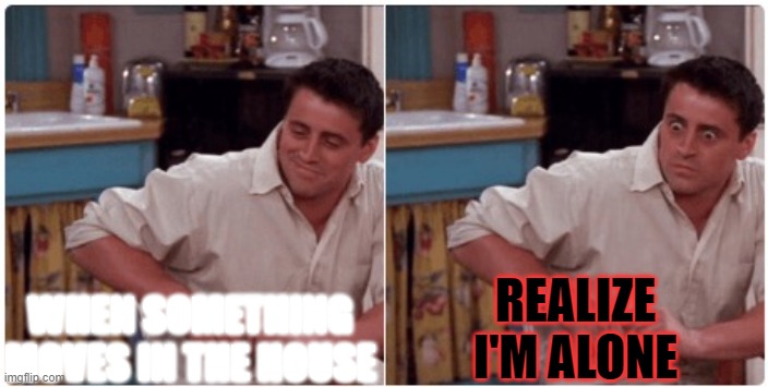 Joey from Friends | WHEN SOMETHING MOVES IN THE HOUSE; REALIZE I'M ALONE | image tagged in joey from friends | made w/ Imgflip meme maker