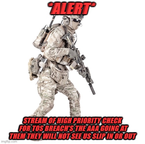 Airsoft solider | *ALERT*; STREAM OF HIGH PRIORITY CHECK  FOR TOS BREACH’S THE AAA GOING AT THEM THEY WILL NOT SEE US SLIP IN OR OUT | image tagged in airsoft solider | made w/ Imgflip meme maker