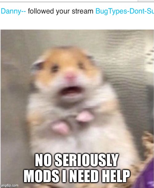 Scared Hamster | NO SERIOUSLY MODS I NEED HELP | image tagged in scared hamster | made w/ Imgflip meme maker