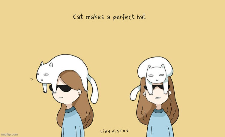 A Cat's Way Of Thinking | image tagged in memes,comics,cats,make,perfect,hat | made w/ Imgflip meme maker