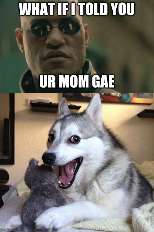 haha funny word | WHAT IF I TOLD YOU; UR MOM GAE | image tagged in memes,matrix morpheus,bad pun dog,ur mom gay,funny,dastarminers awesome memes | made w/ Imgflip meme maker