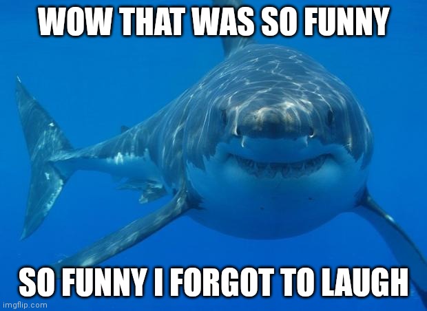 Straight White Shark | WOW THAT WAS SO FUNNY SO FUNNY I FORGOT TO LAUGH | image tagged in straight white shark | made w/ Imgflip meme maker