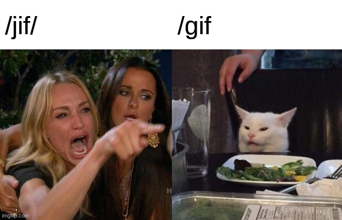 which one is it??? | /jif/; /gif | image tagged in memes,woman yelling at cat | made w/ Imgflip meme maker