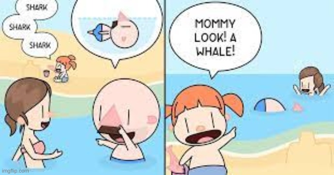 A whale! | image tagged in rare insults,insult,stop reading the tags | made w/ Imgflip meme maker