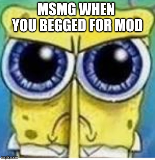MSMG WHEN  YOU BEGGED FOR MOD | made w/ Imgflip meme maker
