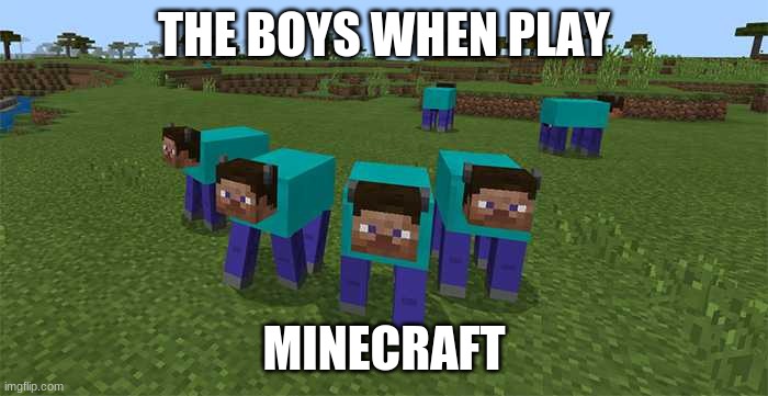 me and the boys | THE BOYS WHEN PLAY; MINECRAFT | image tagged in me and the boys | made w/ Imgflip meme maker