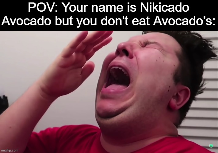 How pathetic to name yourself that and not man up to what you say you are | POV: Your name is Nikicado Avocado but you don't eat Avocado's: | image tagged in nikacado avocado cries,joke,huh | made w/ Imgflip meme maker