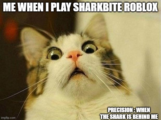 Me when I play sharkbite | ME WHEN I PLAY SHARKBITE ROBLOX; PRECISION : WHEN THE SHARK IS BEHIND ME | image tagged in memes,scared cat | made w/ Imgflip meme maker