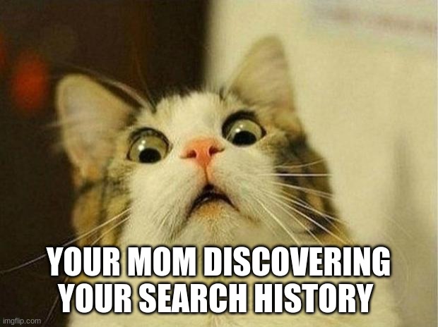 Scared Cat | YOUR MOM DISCOVERING YOUR SEARCH HISTORY | image tagged in memes,scared cat | made w/ Imgflip meme maker