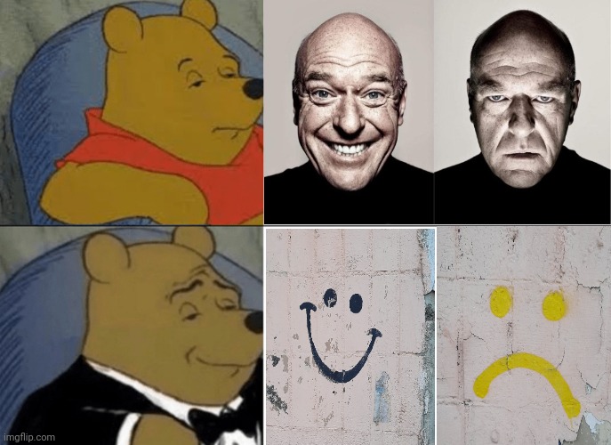 -Smiling areas. | image tagged in tuxedo winnie the pooh,breaking bad smile frown,creepy smile,graffitti,build a wall,bars | made w/ Imgflip meme maker