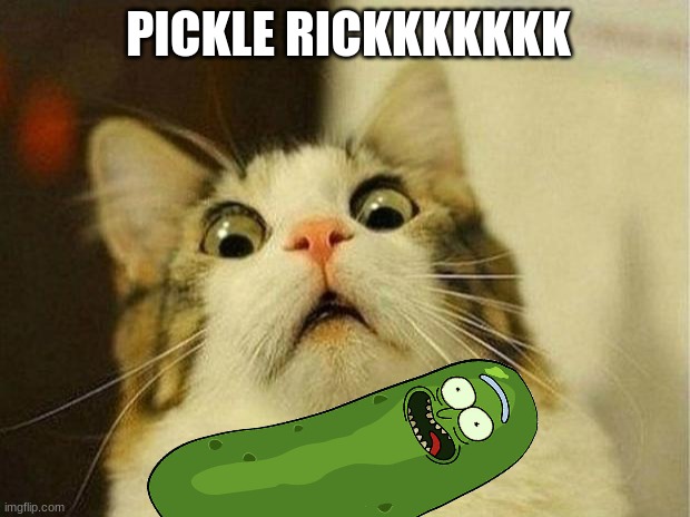 Scared Cat Meme | PICKLE RICKKKKKKK | image tagged in memes,scared cat | made w/ Imgflip meme maker