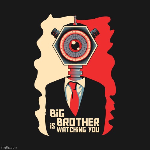Big Brother is watching you | image tagged in big brother is watching you | made w/ Imgflip meme maker