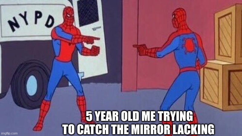 spooderman | 5 YEAR OLD ME TRYING TO CATCH THE MIRROR LACKING | image tagged in spiderman pointing at spiderman | made w/ Imgflip meme maker