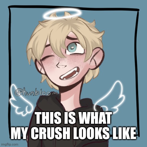 To me anyways... Srry Idk where else to put it | THIS IS WHAT MY CRUSH LOOKS LIKE | image tagged in all i do is think about him | made w/ Imgflip meme maker