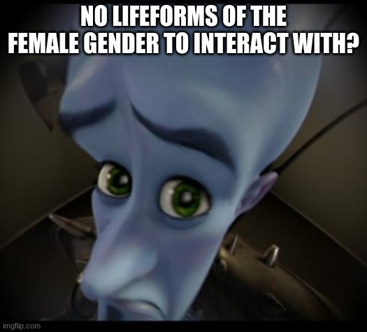 no? | NO LIFEFORMS OF THE FEMALE GENDER TO INTERACT WITH? | image tagged in no bitches | made w/ Imgflip meme maker