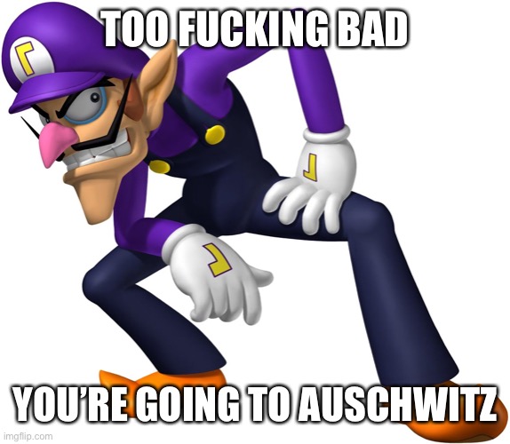 TOO BAD! WALUIGI TIME! | TOO FUCKING BAD YOU’RE GOING TO AUSCHWITZ | image tagged in too bad waluigi time | made w/ Imgflip meme maker