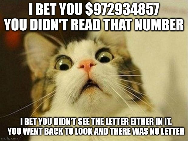 IDK | I BET YOU $972934857 YOU DIDN'T READ THAT NUMBER; I BET YOU DIDN'T SEE THE LETTER EITHER IN IT.
YOU WENT BACK TO LOOK AND THERE WAS NO LETTER | image tagged in memes,scared cat | made w/ Imgflip meme maker
