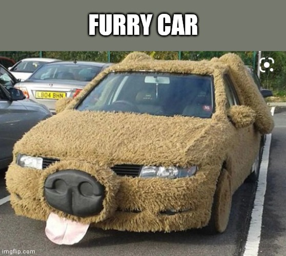 FURRY CAR | made w/ Imgflip meme maker