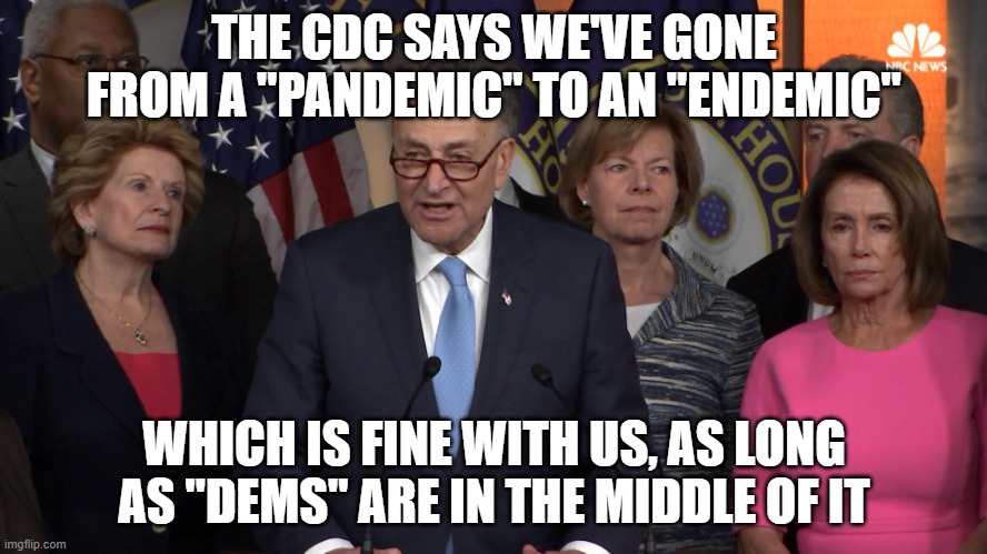 Democrat congressmen | THE CDC SAYS WE'VE GONE FROM A "PANDEMIC" TO AN "ENDEMIC"; WHICH IS FINE WITH US, AS LONG AS "DEMS" ARE IN THE MIDDLE OF IT | image tagged in democrat congressmen | made w/ Imgflip meme maker