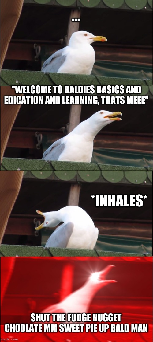 Inhaling Seagull Meme | ... "WELCOME TO BALDIES BASICS AND EDICATION AND LEARNING, THATS MEEE"; *INHALES*; SHUT THE FUDGE NUGGET CHOOLATE MM SWEET PIE UP BALD MAN | image tagged in memes,inhaling seagull | made w/ Imgflip meme maker