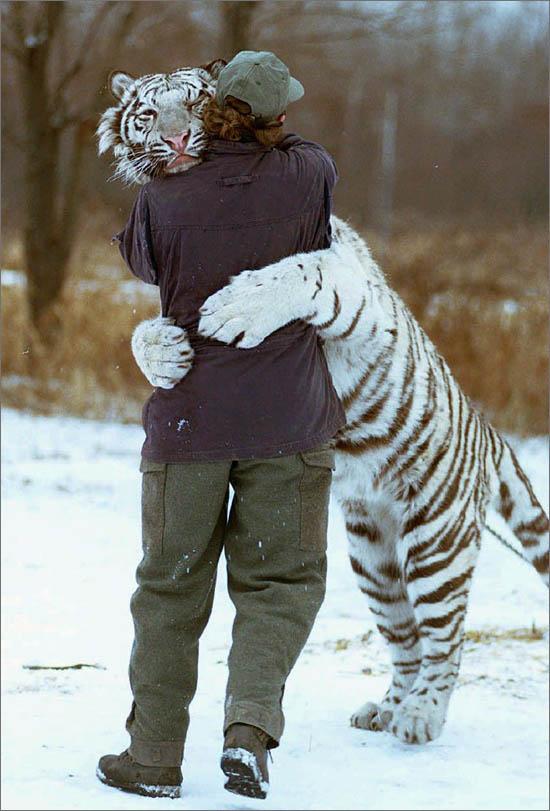 image tagged in cute,animals