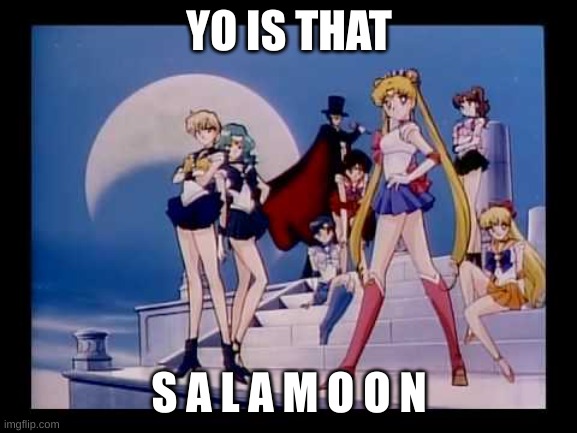 salamoon | YO IS THAT; S A L A M O O N | image tagged in salamoon | made w/ Imgflip meme maker