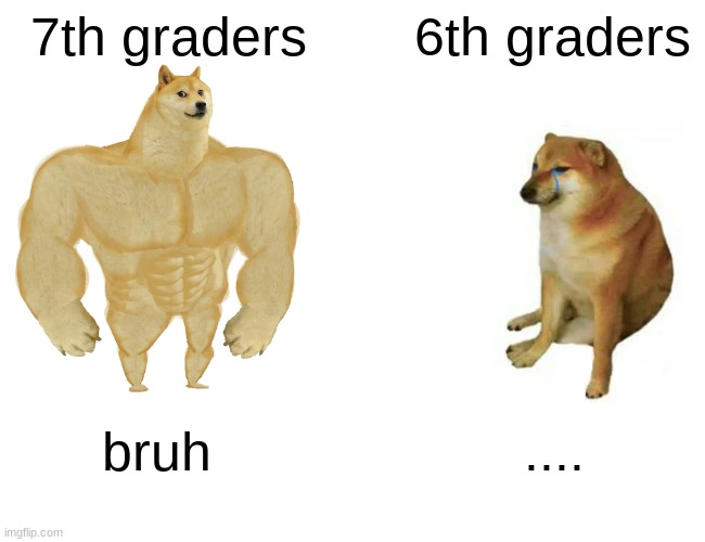 1 year diffrence | 7th graders; 6th graders; bruh; .... | image tagged in memes,buff doge vs cheems | made w/ Imgflip meme maker