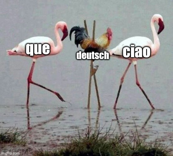 que deutsch ciao | ciao; que; deutsch | image tagged in recruitment | made w/ Imgflip meme maker