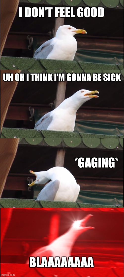 Inhaling Seagull | I DON’T FEEL GOOD; UH OH I THINK I’M GONNA BE SICK; *GAGING*; BLAAAAAAAA | image tagged in memes,inhaling seagull | made w/ Imgflip meme maker