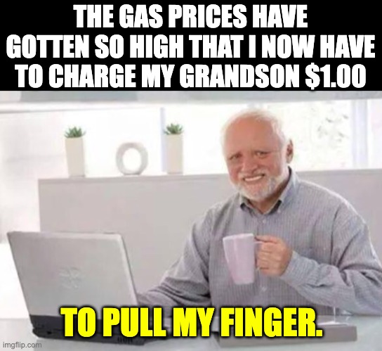 You gotta teach them about inflation when they are young | THE GAS PRICES HAVE GOTTEN SO HIGH THAT I NOW HAVE TO CHARGE MY GRANDSON $1.00; TO PULL MY FINGER. | image tagged in harold,dad joke | made w/ Imgflip meme maker