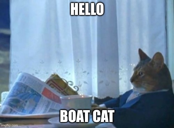 I Should Buy A Boat Cat | HELLO; BOAT CAT | image tagged in memes,i should buy a boat cat | made w/ Imgflip meme maker