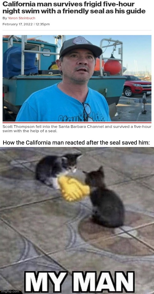 California man | How the California man reacted after the seal saved him: | image tagged in cats shaking hands,california,california man,news,memes,seal | made w/ Imgflip meme maker