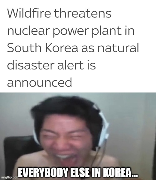 *screams in crying anger* | EVERYBODY ELSE IN KOREA... | image tagged in korea,wildfire,natural disaster,sad,memes | made w/ Imgflip meme maker
