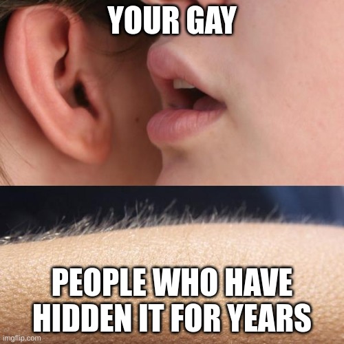 Whisper and Goosebumps | YOUR GAY; PEOPLE WHO HAVE HIDDEN IT FOR YEARS | image tagged in whisper and goosebumps,gay,memes | made w/ Imgflip meme maker