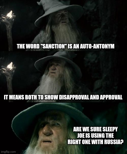 Hard to tell | THE WORD "SANCTION" IS AN AUTO-ANTONYM; IT MEANS BOTH TO SHOW DISAPPROVAL AND APPROVAL; ARE WE SURE SLEEPY JOE IS USING THE RIGHT ONE WITH RUSSIA? | image tagged in memes,confused gandalf,politics,russian sanctions,puppet biden | made w/ Imgflip meme maker